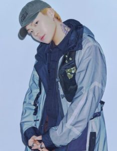 kr_image12-233x300-7619283