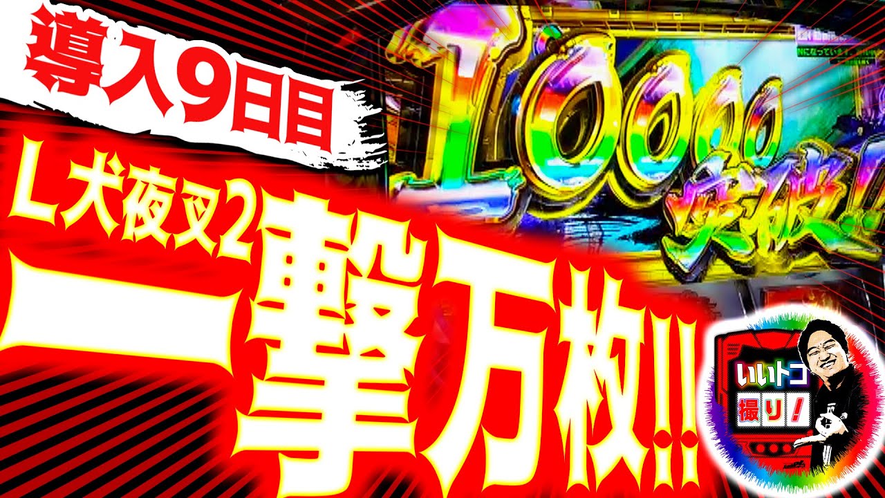 1769606355_maxresdefault-7401858-6603733-jpg