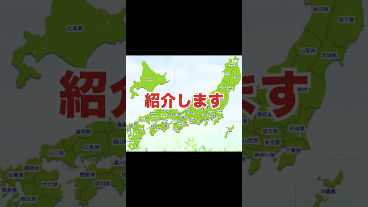 1771078943_maxresdefault-5572053-8051858-jpg