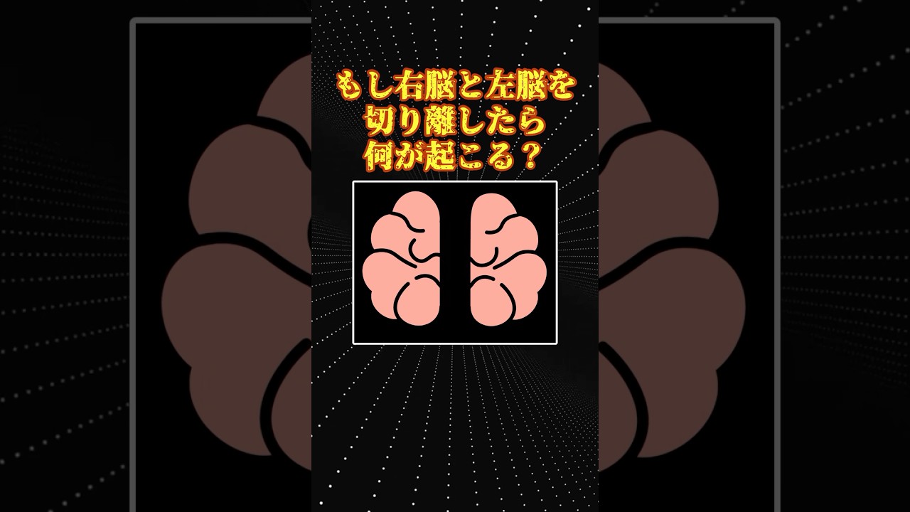 1773763922_maxresdefault-5136810-8989046-jpg