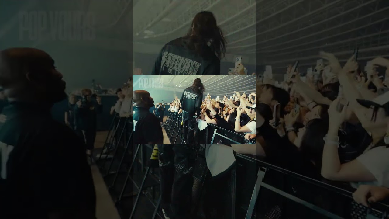 1774253951_maxresdefault-8984918-7938841-jpg