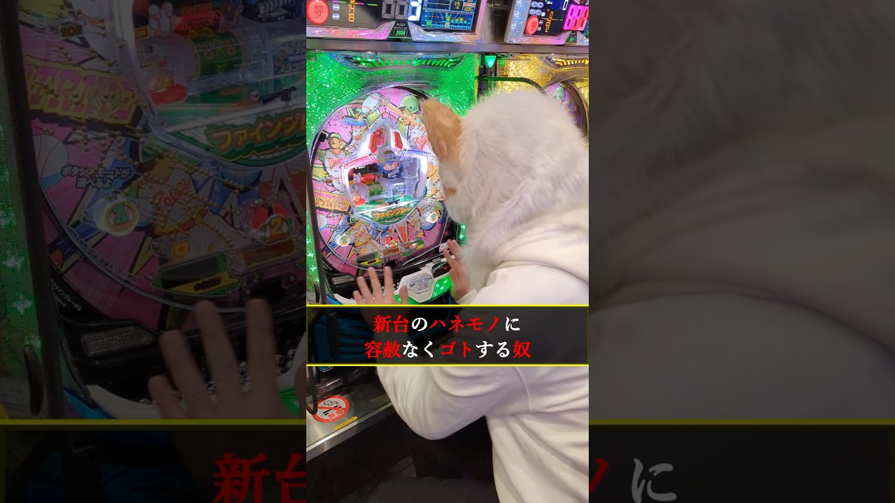 1775798421_maxresdefault-2893661-5455036-jpg